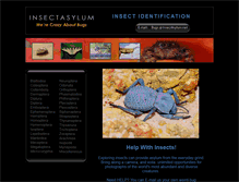 Tablet Screenshot of insectasylum.net